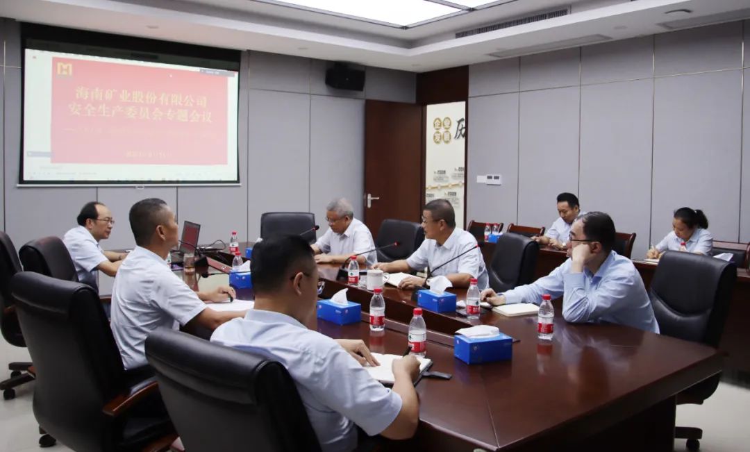 海南礦業(yè)安委會學習宣貫《關(guān)于進一步加強礦山安全生產(chǎn)工作的意見》